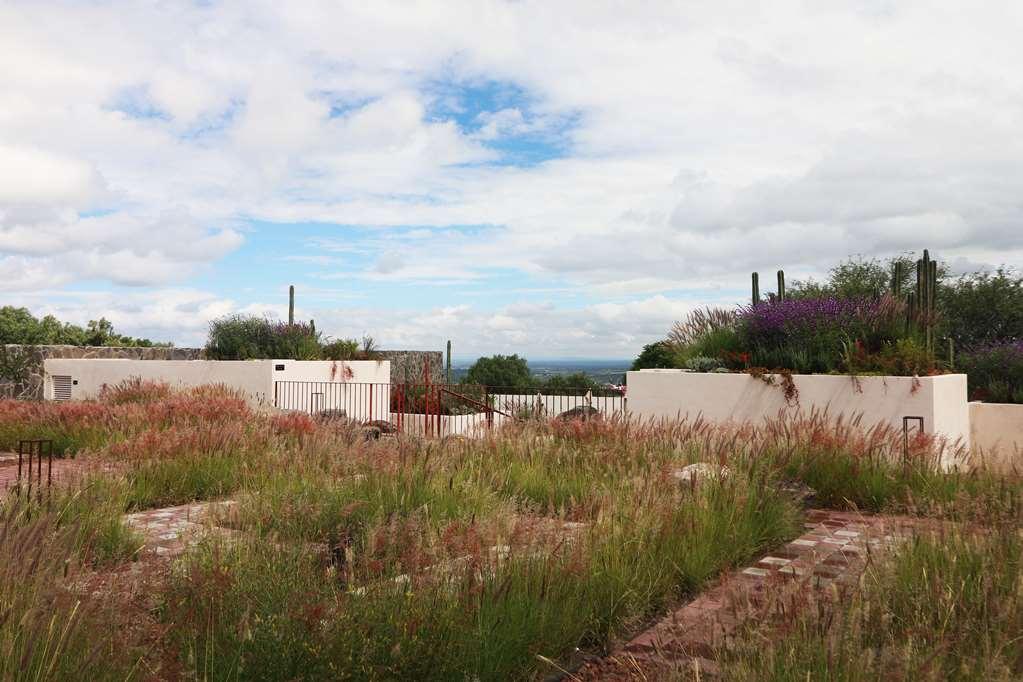 Albor San Miguel De Allende Tapestry Collection By Hilton Εξωτερικό φωτογραφία